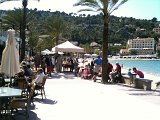 IMG_0536