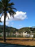 IMG_0538