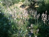 IMG_0541