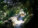 IMG_0542