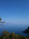 IMG_0543