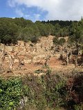 IMG_9014