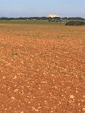 IMG_8974