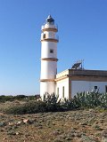 IMG_9007