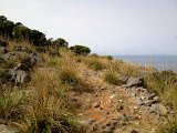 IMG_4174