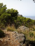IMG_4176