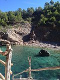 IMG_4355