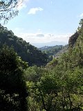 IMG_7987