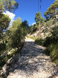 IMG_7990