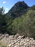 IMG_7993