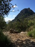 IMG_7995