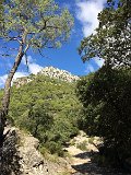 IMG_8003