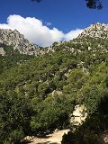 IMG_8006