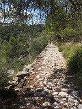 IMG_8012