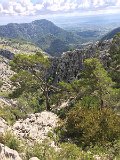 IMG_8020