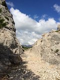 IMG_8024