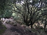 IMG_8027