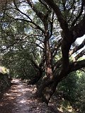 IMG_8029