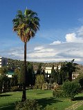 IMG_7793