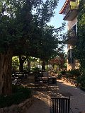 IMG_7976