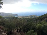 IMG_7811