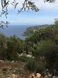 IMG_7839