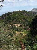 IMG_7851