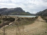 IMG_7858