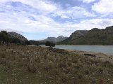 IMG_7862