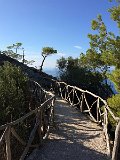 IMG_8071