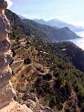 IMG_8077