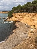 IMG_5402