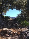 IMG_5264