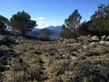 IMG_5355