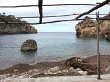 IMG_5568
