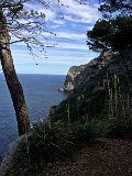 IMG_5110