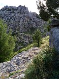 IMG_5143