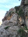 IMG_5162