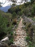IMG_5239