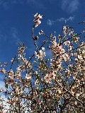 IMG_5250