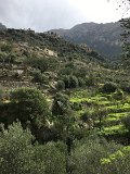 IMG_3016