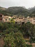 IMG_3069