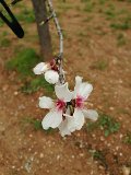 IMG_20170211_115851
