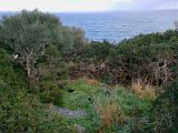 IMG_20170209_114209