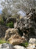 IMG_20170209_125315