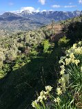 IMG_2948
