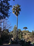 IMG_2950