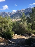 IMG_2951