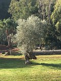 IMG_3117