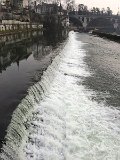 IMG_5796